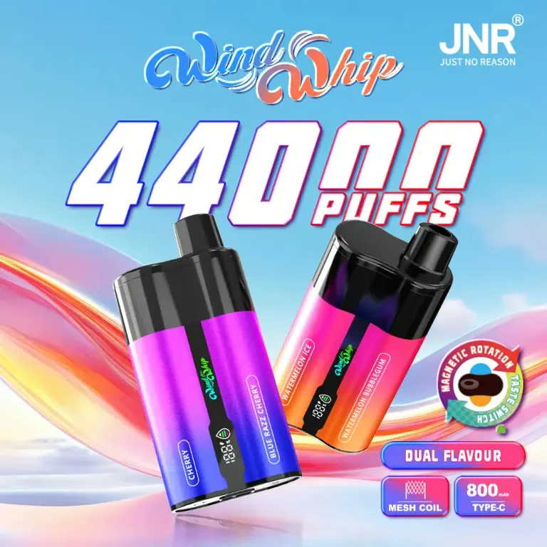 JNR Windwhip : Puff 2 Saveurs · Embout Rotatif